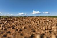 Estado libera R$ 49,9 milhões para pavimentar estradas rurais e ruas urbanas de Roncador