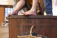 Rota da Uva & Vinho: Paraná lança circuito para impulsionar vitivinucultura e valorizar tradições