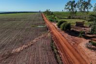  Ratinho Junior inaugura viaduto e anuncia R$ 72 milhões de investimentos em Iporã 