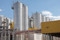 Paraná reforça industrialização do leite com uma das maiores fábricas de queijo do País