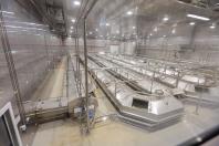 Paraná reforça industrialização do leite com uma das maiores fábricas de queijo do País