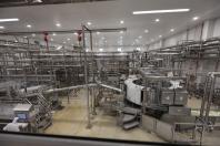 Paraná reforça industrialização do leite com uma das maiores fábricas de queijo do País