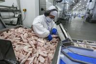 Safra de verão da soja caminha para o fim com 82% já colhida no Paraná