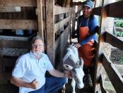 Primeiro bezerro da raça Purunã com 48 kg nasce em Goioerê