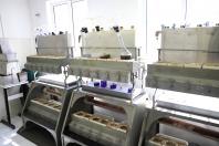  IDR-PR garante qualidade da soja, farelo e milho embarcados no Porto de Paranaguá 