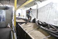  IDR-PR garante qualidade da soja, farelo e milho embarcados no Porto de Paranaguá 
