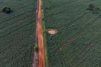  Governador anuncia quase R$ 120 milhões em investimentos para Querência do Norte 