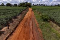  Governador anuncia quase R$ 120 milhões em investimentos para Querência do Norte 