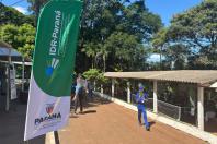 ExpoLondrina: atrações do IDR-Paraná apontam para o futuro da agropecuária