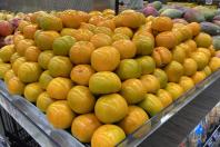  Temporada de caqui: Paraná produz 6 mil toneladas da fruta e exportações aumentam 