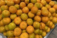  Temporada de caqui: Paraná produz 6 mil toneladas da fruta e exportações aumentam 