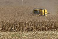  Soja e milho impulsionam produção paranaense com estimativa de 39,1 milhões de toneladas 