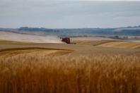  Soja e milho impulsionam produção paranaense com estimativa de 39,1 milhões de toneladas 