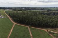  Estado inaugura hospital em Terra Boa e anuncia investimentos para pavimentação rural 