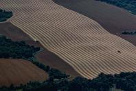 Cenário atual projeta aumento na remuneração do leite no Paraná, aponta Deral 