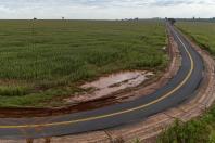 Ratinho Junior inaugura pavimentação da Estrada Rural Barro Preto em Francisco Alves