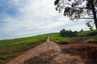 De estrada rural a educação: Ratinho Junior libera pacote de R$ 75,2 milhões para Pitanga