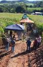 Tecnologia e inovação marcam o 7º Dia de Campo de Milho Silagem em Barbosa Ferraz