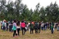 foto/seab