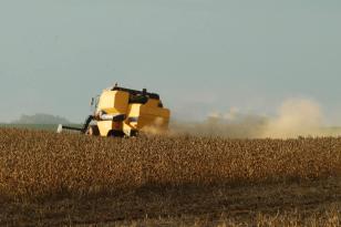 Paraná deve produzir 23 milhões e 300 mil toneladas de grãos na safra de verão