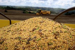 VBP Agropecuário pode atingir R$ 93 bilhões