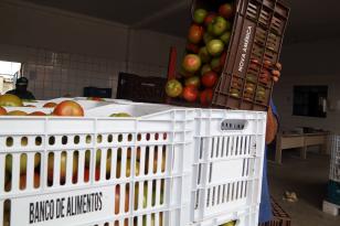 Banco de Alimentos ajuda famílias em situação de vulnerabilidade