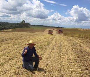 Produtor campeão de produtividade 19/20