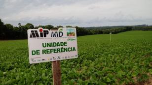 Alerta Ferrugem