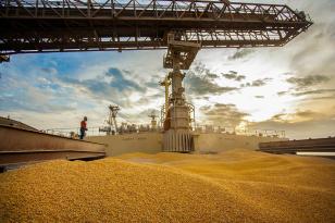 exportações do Agro