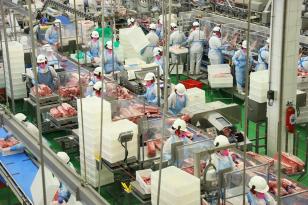 industria