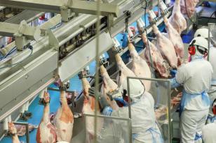 Paraná ampliou a produção de carnes em 2020