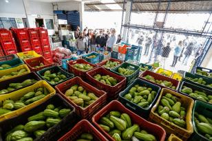 ceasa - banco de alimentos