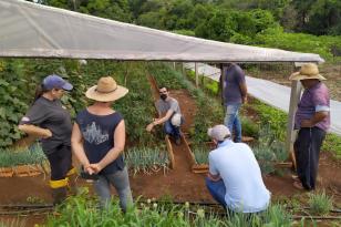 extensão rural