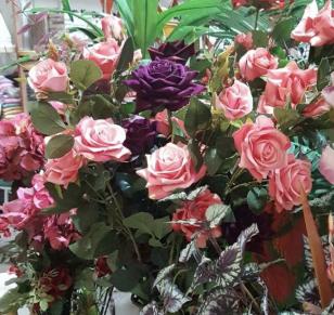 rosa