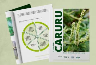 caruru
