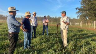 Mostra Tecnológica destaca integração lavoura-pecuária e soluções sustentáveis para a agropecuária no Paraná 