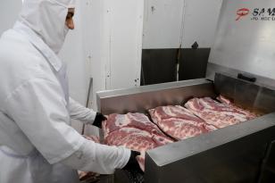 carne