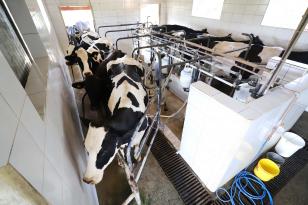 Paraná regulamenta lei que proíbe reconstituição de leite em pó importado