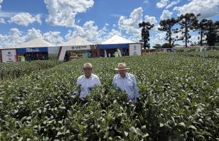 Seab reforça políticas públicas e inovação na abertura do Dia de Campo Lar 2026, em Medianeira