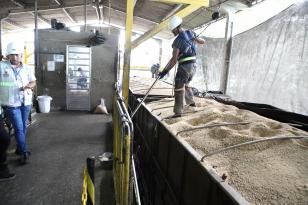  IDR-PR garante qualidade da soja, farelo e milho embarcados no Porto de Paranaguá 
