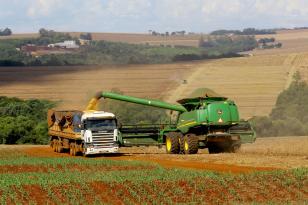  Soja e milho impulsionam produção paranaense com estimativa de 39,1 milhões de toneladas 