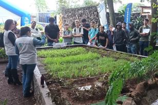 52ª Expoingá: IDR-Paraná apresenta inovações e programação técnica para o agronegócio