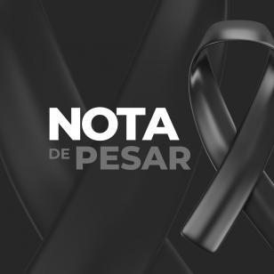nota_de_pesar
