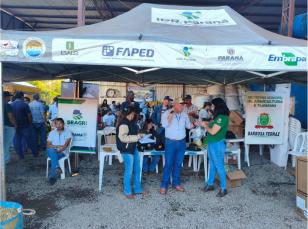 Tecnologia e inovação marcam o 7º Dia de Campo de Milho Silagem em Barbosa Ferraz