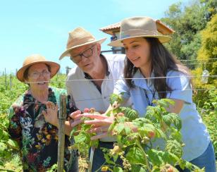 O engenheiro-agrônomo ajuda a transformar a agropecuária paranaense