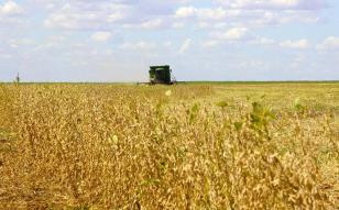 Com alta de 5,5%, Paraná chega a US$ 18,7 bilhões exportados de janeiro a setembro