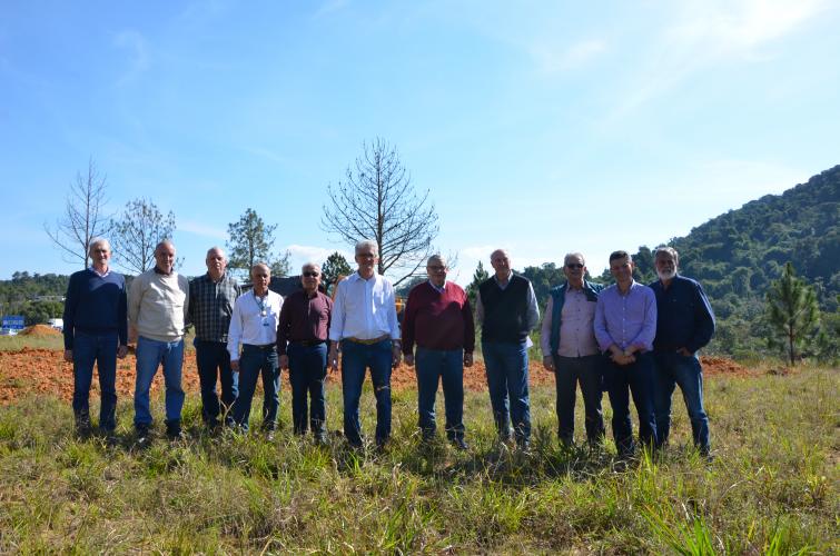 Paraná avança para suspender vacinação contra febre aftosa