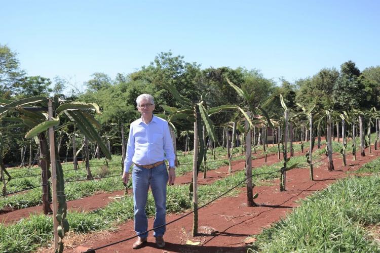 Novo empreendimento vai gerar renda e agregar valor à fruticultura