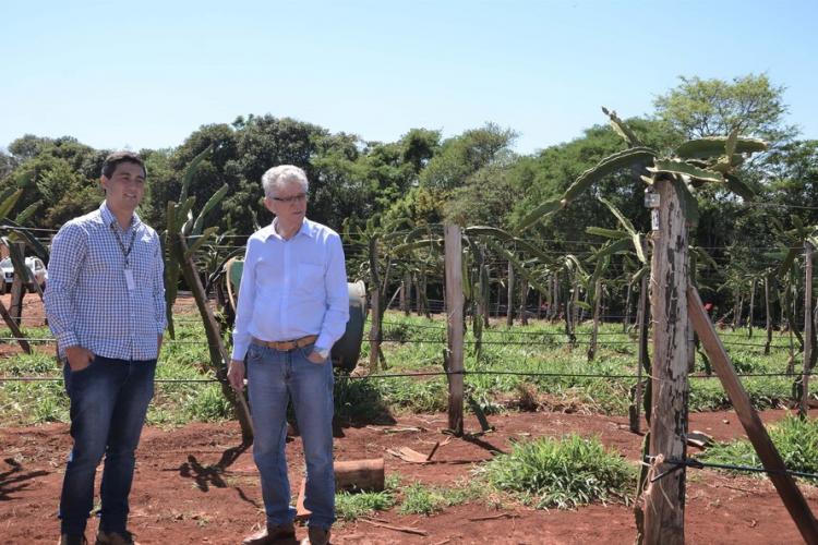 Novo empreendimento vai gerar renda e agregar valor à fruticultura