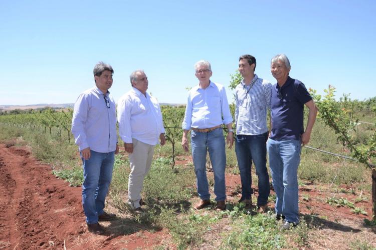 Novo empreendimento vai gerar renda e agregar valor à fruticultura